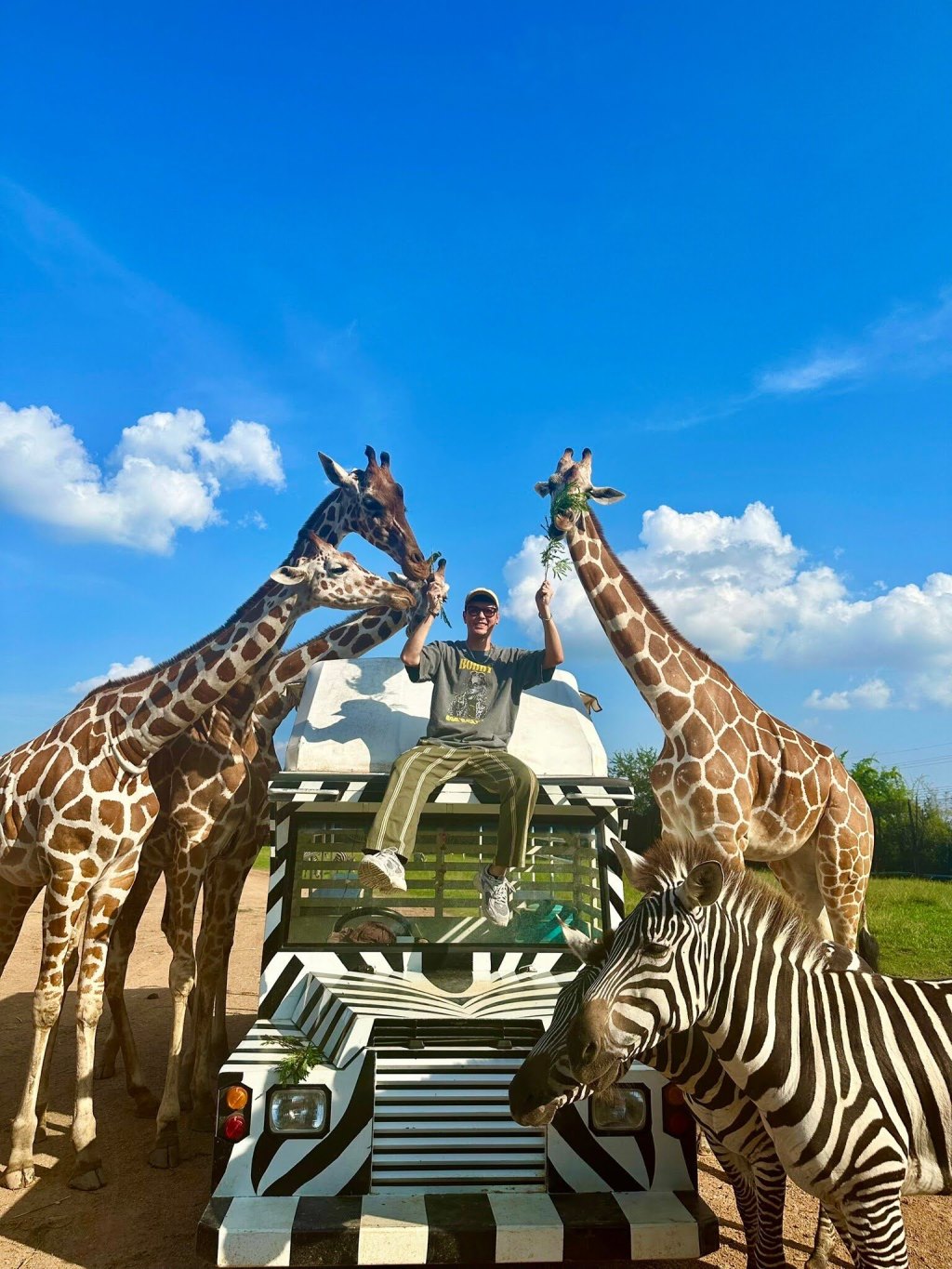 🐯 สัมผัสโลกของสัตว์อย่างใกล้ชิดที่ “สวนสัตว์เปิดซาฟารีปาร์ค” กาญจนบุรี