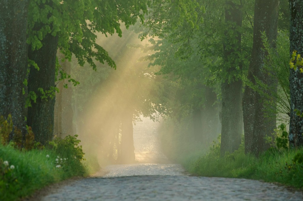 ☕🛕 One Day Trip Kanchanaburi: Cafe Hopping + Wat Tham Sua – A Must-Do&nbsp;Itinerary