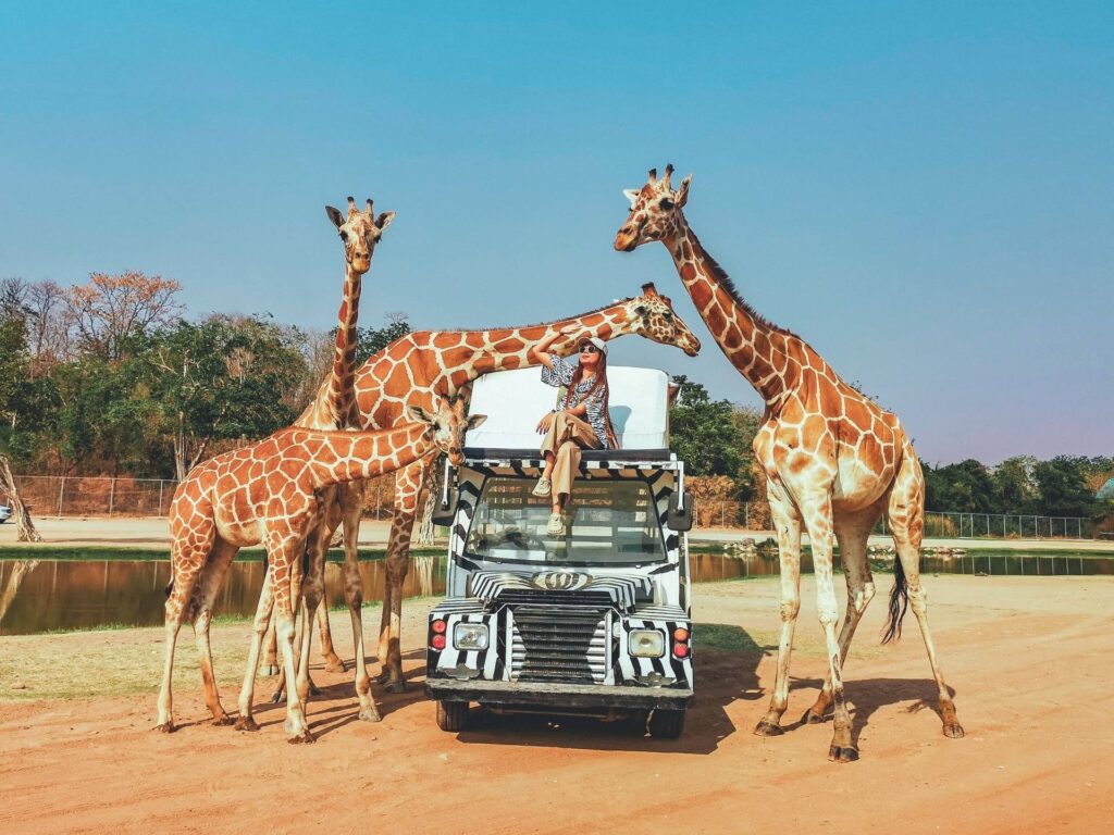 Safari Park Kanchanaburi